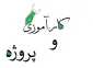 کارآموزی و پروژه