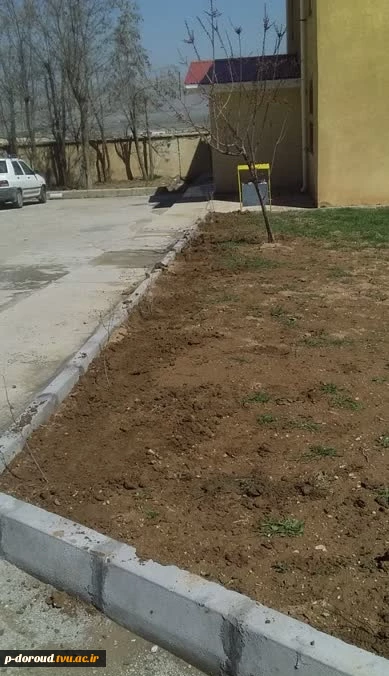 درختکاری در محوطه آموزشکده فنی دورود در روز درختکاری 1401 4