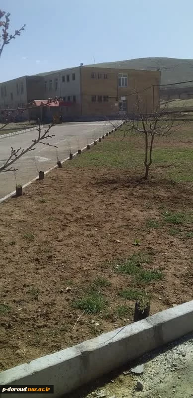 درختکاری در محوطه آموزشکده فنی دورود در روز درختکاری 1401 7