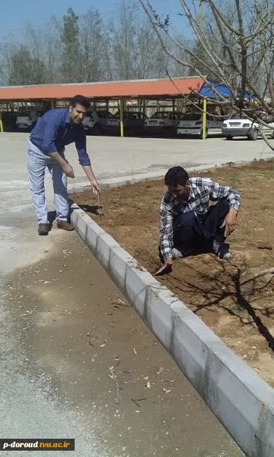 درختکاری در محوطه آموزشکده فنی دورود در روز درختکاری 1401 8
