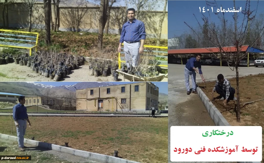 درختکاری در محوطه آموزشکده فنی دورود 2