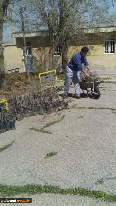 درختکاری در محوطه آموزشکده فنی دورود 9